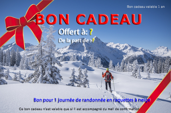 Bon cadeau randonnée en raquettes à neige